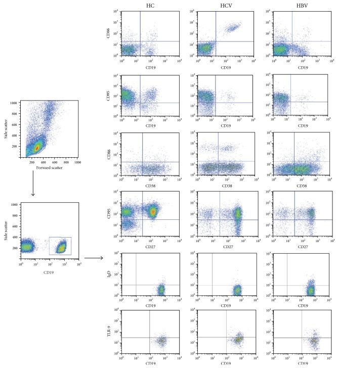 https://cdn.ncbi.nlm.nih.gov/pmc/blobs/afbc/4393900/7eda643e2a96/MI2015-762709.001.jpg