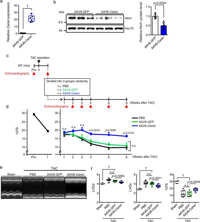 https://cdn.ncbi.nlm.nih.gov/pmc/blobs/afbc/8099897/6d9230534085/41467_2021_22735_Fig8_HTML.jpg
