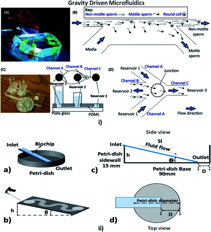 https://cdn.ncbi.nlm.nih.gov/pmc/blobs/afbd/9050787/50a1012f50ad/d0ra00263a-f8.jpg