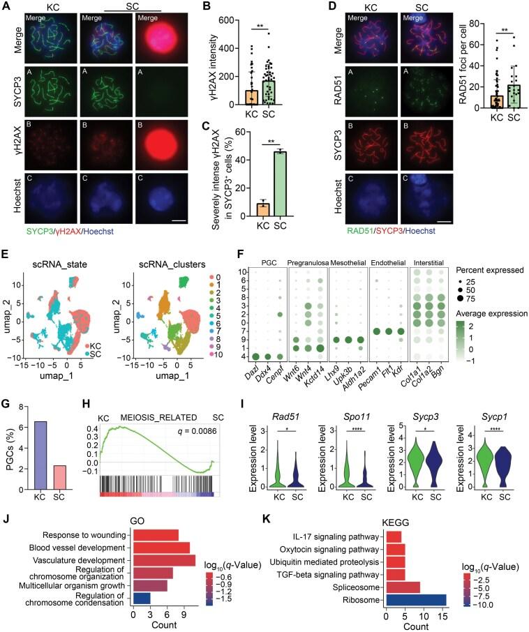 https://cdn.ncbi.nlm.nih.gov/pmc/blobs/afc0/12084806/fe6a49ac9b56/lnaf007_fig3.jpg