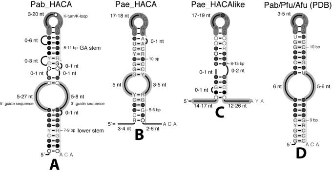 https://cdn.ncbi.nlm.nih.gov/pmc/blobs/afc3/4652768/5c3f4cc1dafd/gkv756fig1.jpg