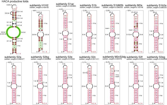 https://cdn.ncbi.nlm.nih.gov/pmc/blobs/afc3/4652768/7342574a03f2/gkv756fig7.jpg