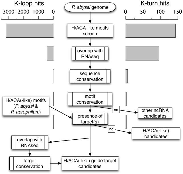 https://cdn.ncbi.nlm.nih.gov/pmc/blobs/afc3/4652768/b94cdae9dd7a/gkv756fig2.jpg