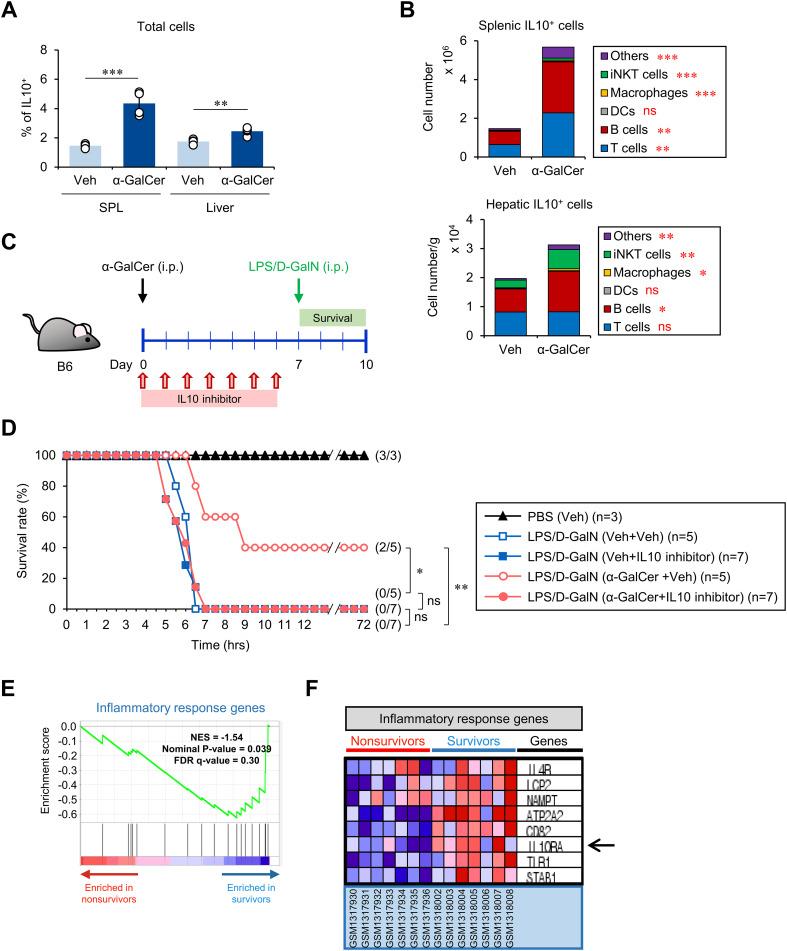 https://cdn.ncbi.nlm.nih.gov/pmc/blobs/afc4/11442275/64905fe68287/fimmu-15-1457690-g004.jpg
