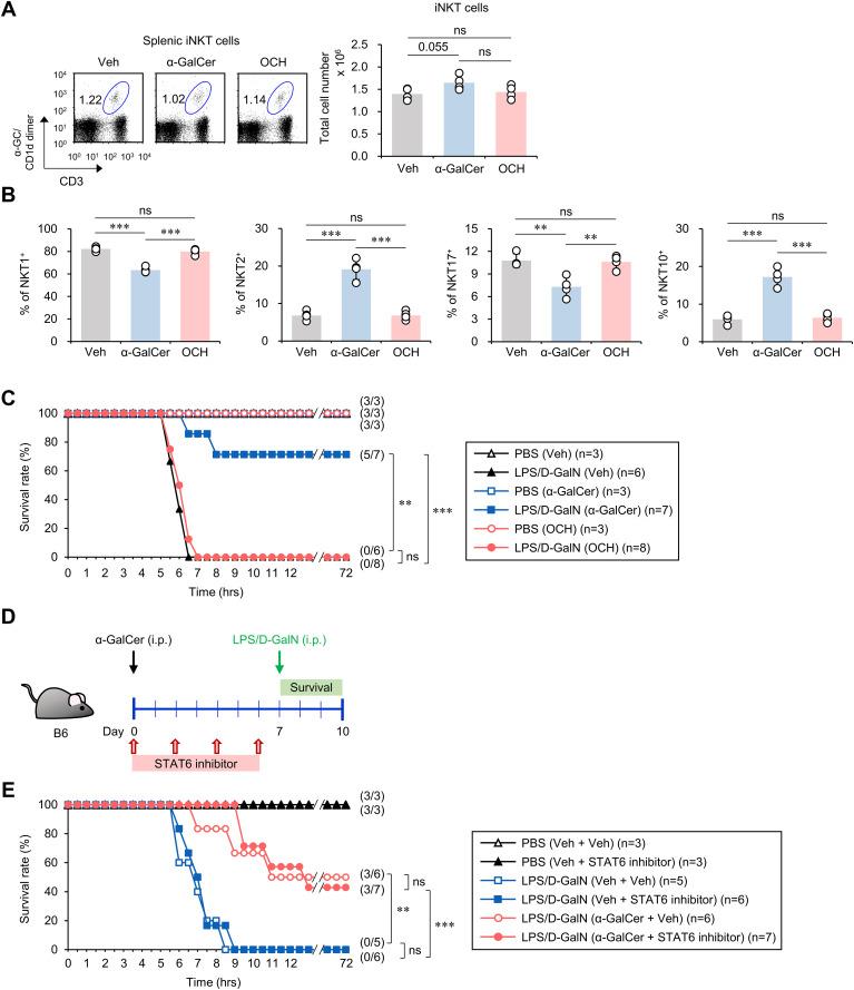 https://cdn.ncbi.nlm.nih.gov/pmc/blobs/afc4/11442275/fe5fdbc8dd3e/fimmu-15-1457690-g003.jpg
