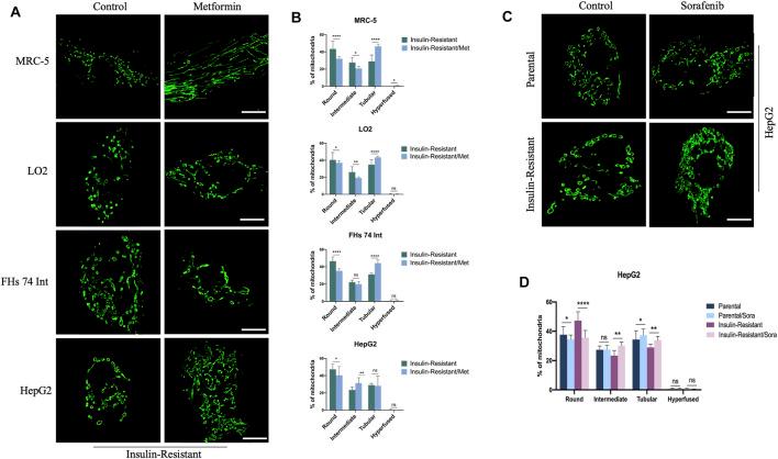 https://cdn.ncbi.nlm.nih.gov/pmc/blobs/afc6/9298863/e84d7567ccc1/fphar-13-932116-g002.jpg