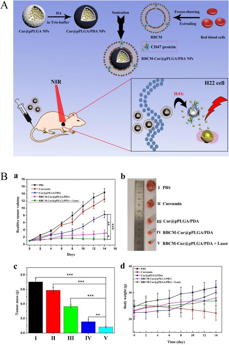 https://cdn.ncbi.nlm.nih.gov/pmc/blobs/afc7/11149581/6e8e730b1fe9/IDRD_A_2361169_F0004_C.jpg
