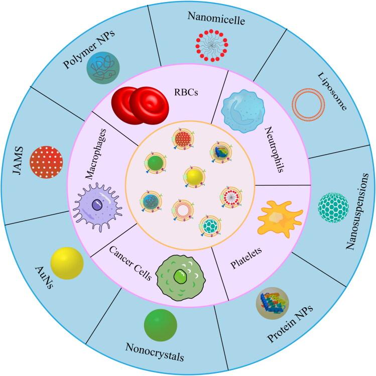 https://cdn.ncbi.nlm.nih.gov/pmc/blobs/afc7/11149581/ae0a1f029c31/IDRD_A_2361169_F0002_C.jpg