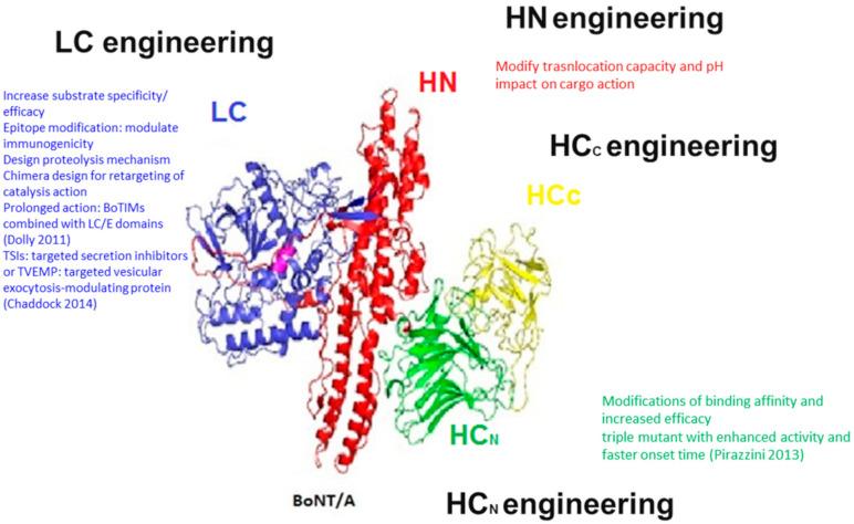 https://cdn.ncbi.nlm.nih.gov/pmc/blobs/afcb/7821915/420688cdae03/toxins-13-00001-g001.jpg