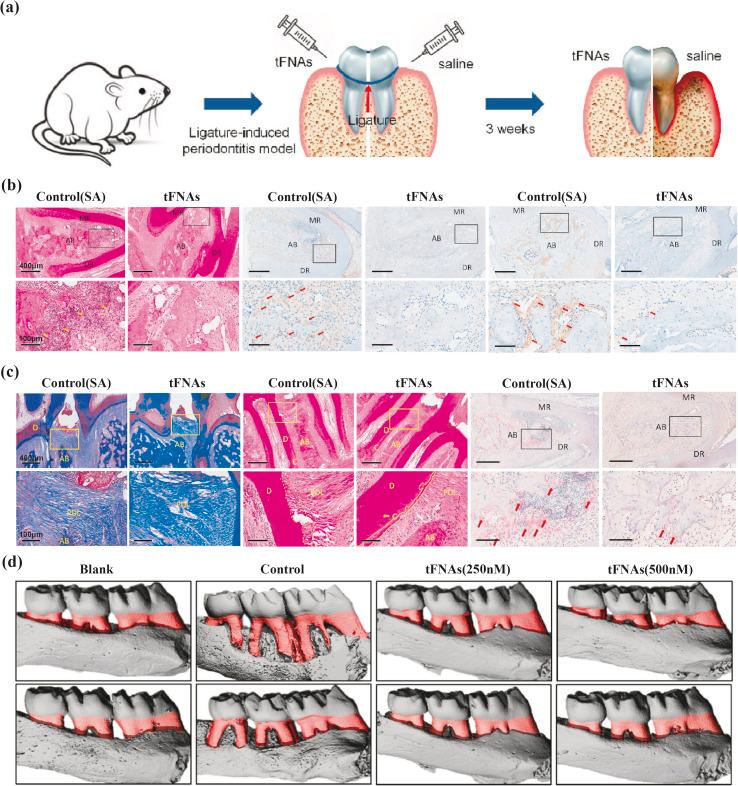 https://cdn.ncbi.nlm.nih.gov/pmc/blobs/afcc/11367407/8e7348e70836/d4ra03809f-f3.jpg