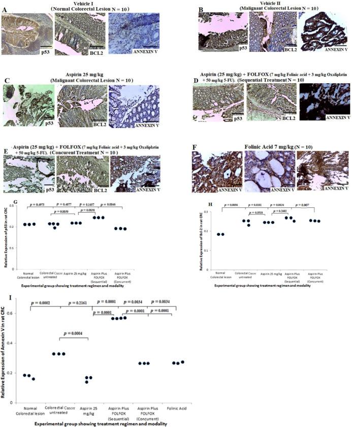 https://cdn.ncbi.nlm.nih.gov/pmc/blobs/afcc/7815153/524df7b9889c/pone.0245581.g007.jpg