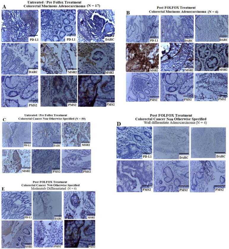https://cdn.ncbi.nlm.nih.gov/pmc/blobs/afcc/7815153/91528ae70885/pone.0245581.g008.jpg