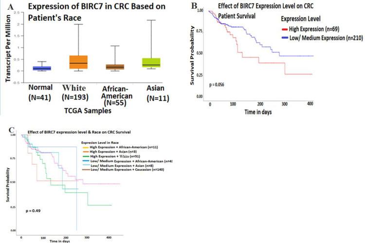 https://cdn.ncbi.nlm.nih.gov/pmc/blobs/afcc/7815153/c2503d3532d0/pone.0245581.g001.jpg