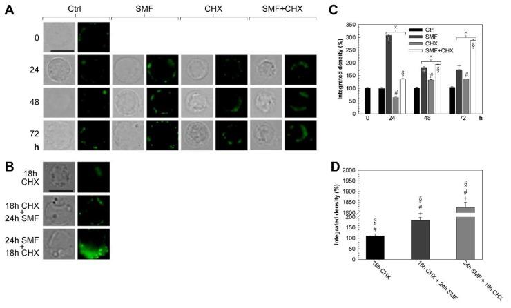 https://cdn.ncbi.nlm.nih.gov/pmc/blobs/afd0/7144570/051829f3fb43/molecules-25-01398-g002a.jpg