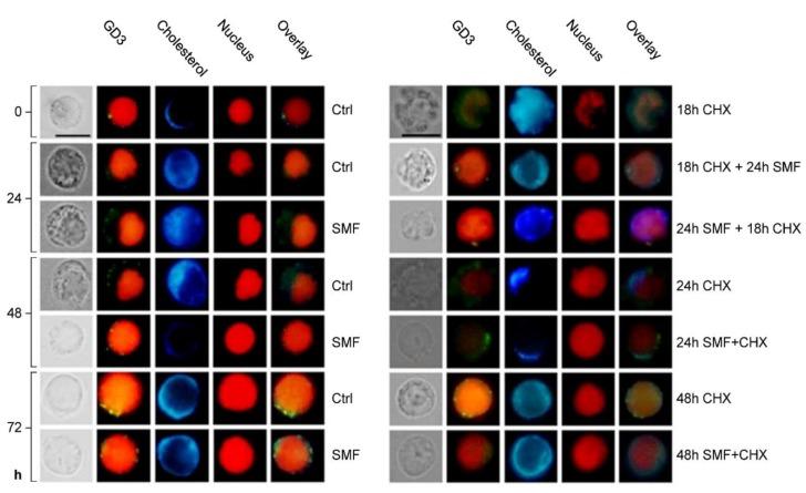 https://cdn.ncbi.nlm.nih.gov/pmc/blobs/afd0/7144570/af6d0b5399ef/molecules-25-01398-g003.jpg