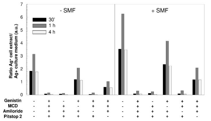 https://cdn.ncbi.nlm.nih.gov/pmc/blobs/afd0/7144570/fdf3f8278a36/molecules-25-01398-g005.jpg