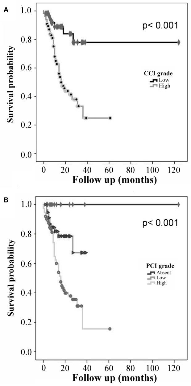https://cdn.ncbi.nlm.nih.gov/pmc/blobs/afd1/6405632/19228d26c481/fped-07-00048-g0002.jpg