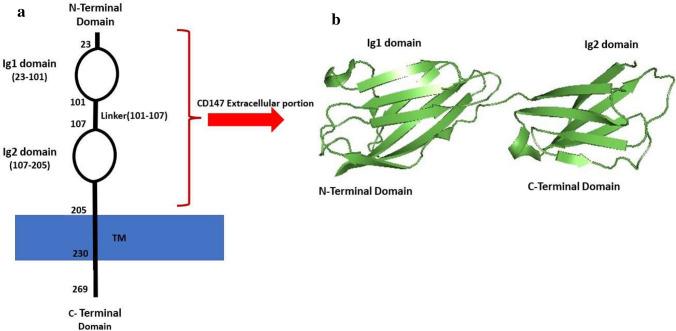 https://cdn.ncbi.nlm.nih.gov/pmc/blobs/afd6/9244107/afe2096bde3c/11033_2022_7700_Fig1_HTML.jpg