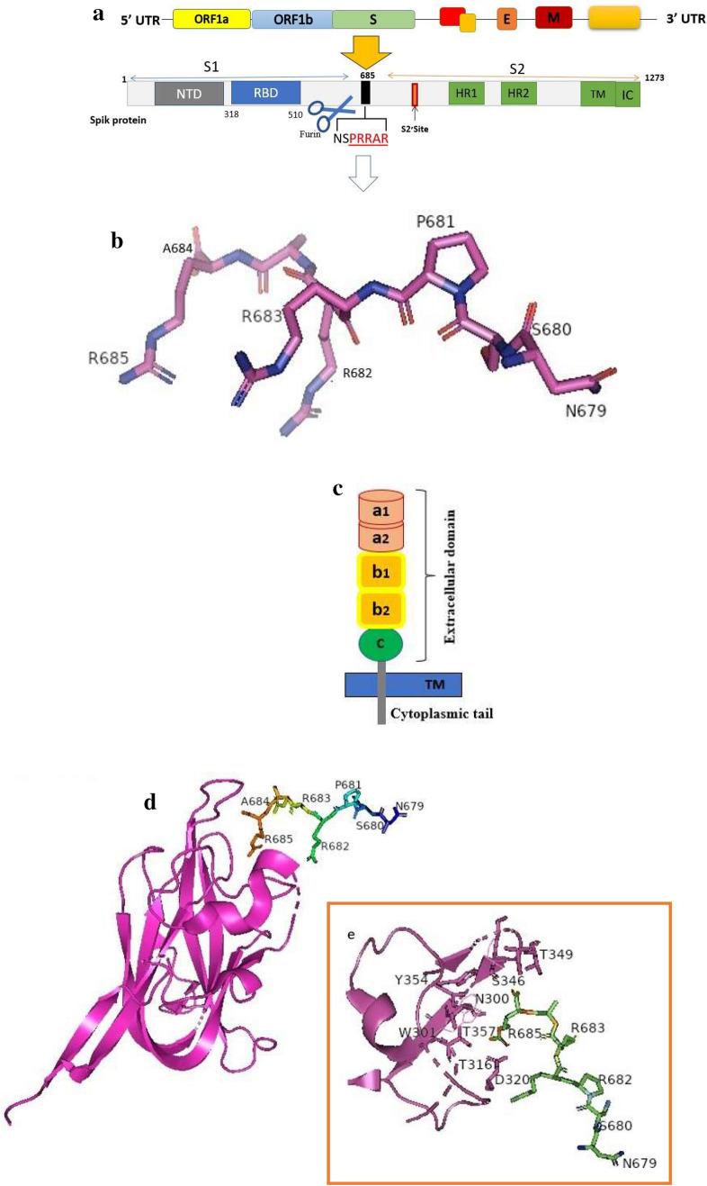 https://cdn.ncbi.nlm.nih.gov/pmc/blobs/afd6/9244107/eb4b9376d6e0/11033_2022_7700_Fig2_HTML.jpg