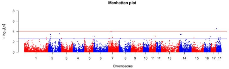 https://cdn.ncbi.nlm.nih.gov/pmc/blobs/afd7/12023961/4469bd4fbcc0/animals-15-01178-g005.jpg