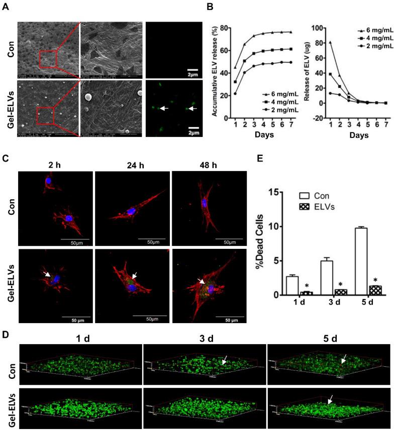 https://cdn.ncbi.nlm.nih.gov/pmc/blobs/afd8/7254987/d91f72a1c8e2/thnov10p5914g006.jpg