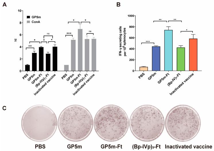 https://cdn.ncbi.nlm.nih.gov/pmc/blobs/afd9/11209462/8c82f82d2f23/viruses-16-00991-g003.jpg