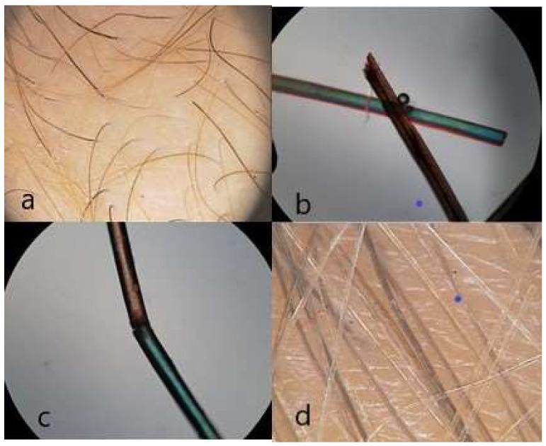 https://cdn.ncbi.nlm.nih.gov/pmc/blobs/afda/11083739/7221b38ff349/diagnostics-14-00945-g002.jpg