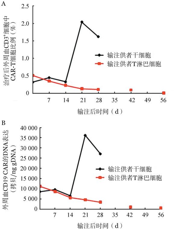 https://cdn.ncbi.nlm.nih.gov/pmc/blobs/afdb/7378295/69c5a181c2c9/cjh-41-06-495-g002.jpg