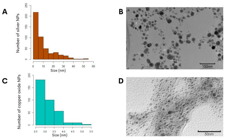 https://cdn.ncbi.nlm.nih.gov/pmc/blobs/afdc/11273412/a6b54e341ccf/antibiotics-13-00650-g002.jpg