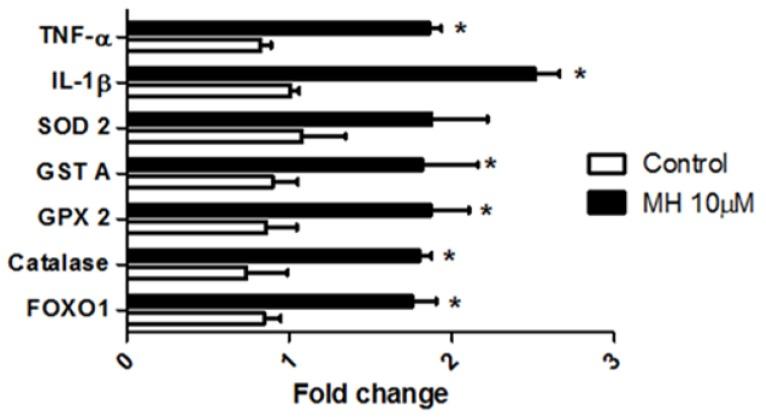 https://cdn.ncbi.nlm.nih.gov/pmc/blobs/afe1/6384692/698d28e1bad3/molecules-24-00475-g006.jpg