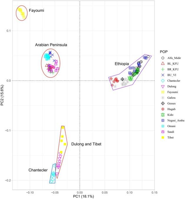 https://cdn.ncbi.nlm.nih.gov/pmc/blobs/afe4/12046372/a8dd24ce3b24/AGE-56-0-g008.jpg