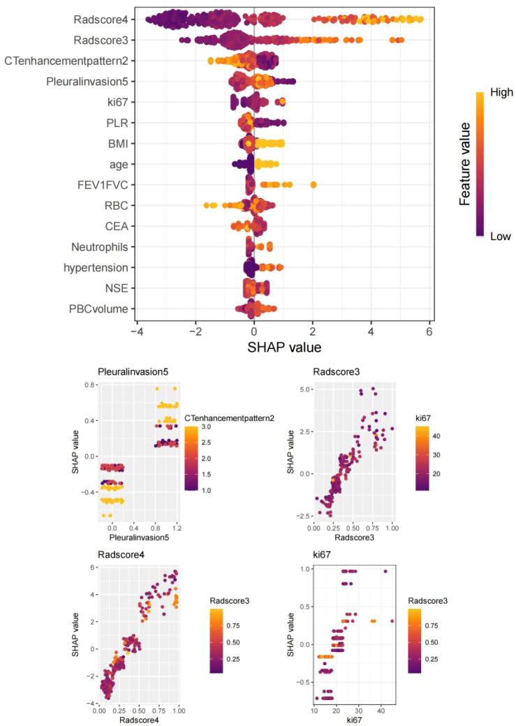 https://cdn.ncbi.nlm.nih.gov/pmc/blobs/afe4/12141000/a4a0b095eb61/fonc-15-1601674-g006.jpg