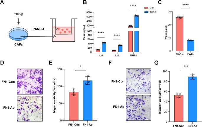 https://cdn.ncbi.nlm.nih.gov/pmc/blobs/afe8/12267018/27448ea65d5f/fonc-15-1595523-g004.jpg