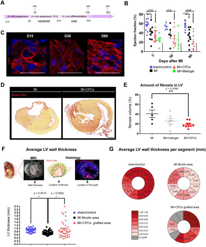 https://cdn.ncbi.nlm.nih.gov/pmc/blobs/afe8/7252440/37b899b5f450/cvz181f4.jpg