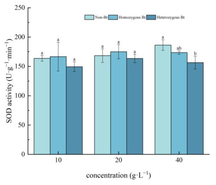 https://cdn.ncbi.nlm.nih.gov/pmc/blobs/afea/12196660/ad2975c7c9ba/plants-14-01797-g001.jpg