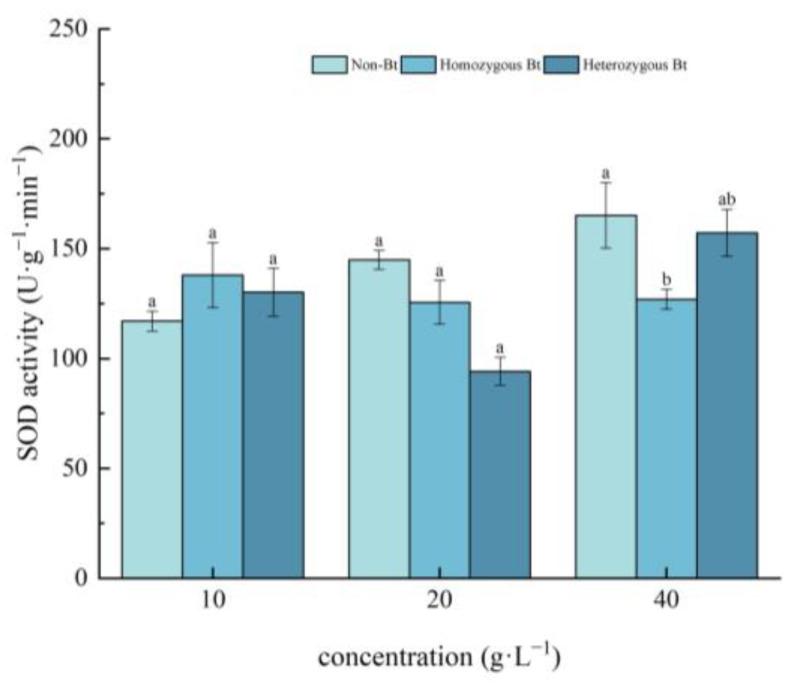 https://cdn.ncbi.nlm.nih.gov/pmc/blobs/afea/12196660/ae9c6c2cea1b/plants-14-01797-g002.jpg