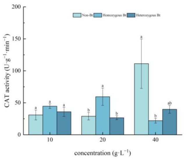 https://cdn.ncbi.nlm.nih.gov/pmc/blobs/afea/12196660/cee31062f751/plants-14-01797-g004.jpg