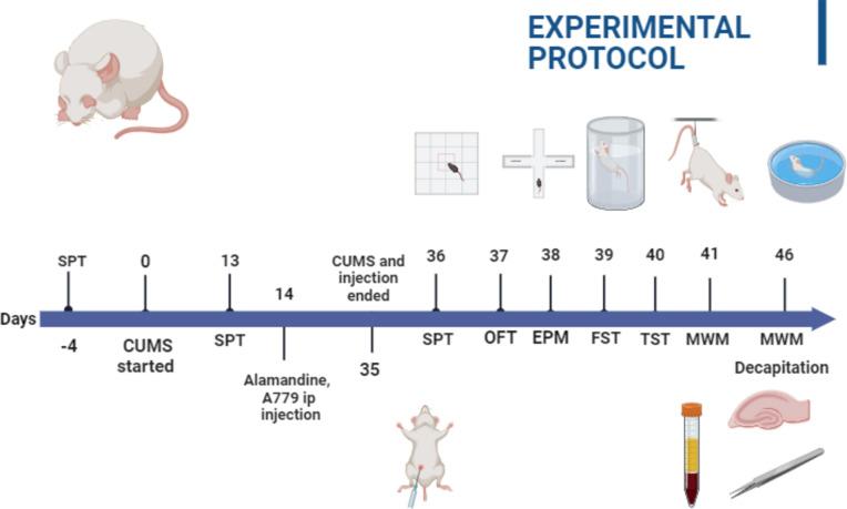 https://cdn.ncbi.nlm.nih.gov/pmc/blobs/afed/11982245/8849a0593fae/41598_2025_95683_Fig1_HTML.jpg