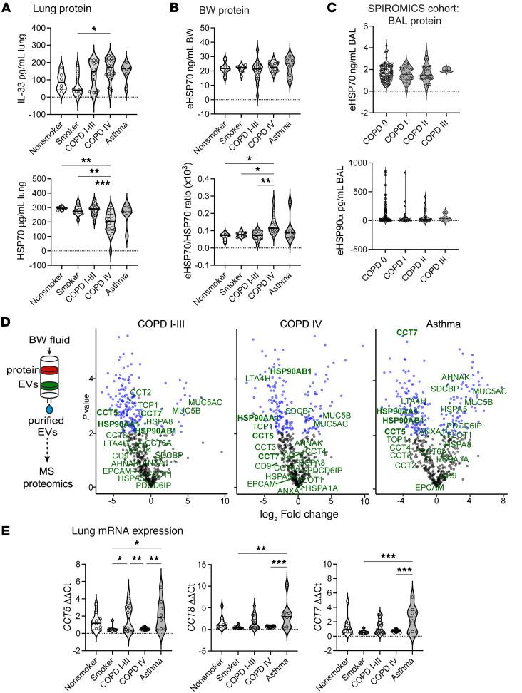 https://cdn.ncbi.nlm.nih.gov/pmc/blobs/aff0/12333954/070c7104ad62/jciinsight-10-193640-g064.jpg