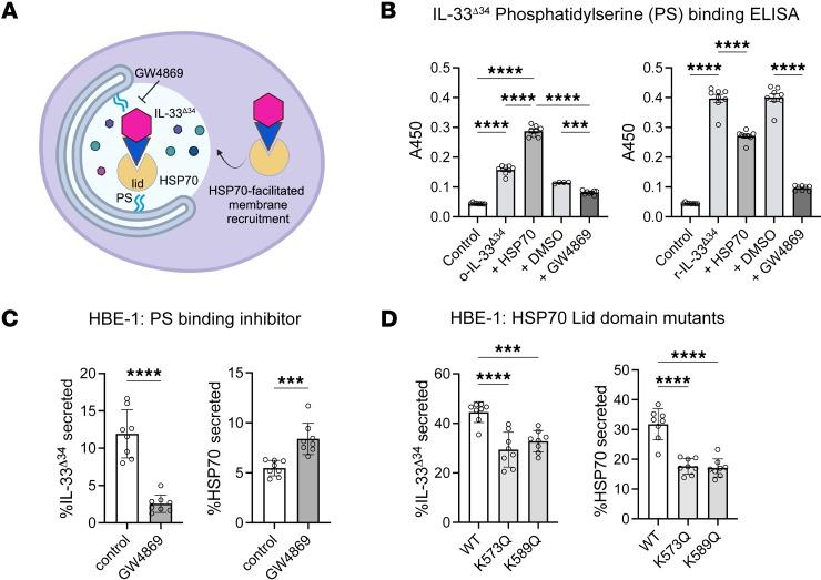 https://cdn.ncbi.nlm.nih.gov/pmc/blobs/aff0/12333954/3a8a78f28303/jciinsight-10-193640-g061.jpg
