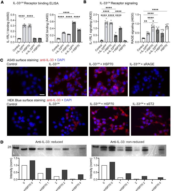 https://cdn.ncbi.nlm.nih.gov/pmc/blobs/aff0/12333954/cc7aa70366e1/jciinsight-10-193640-g062.jpg