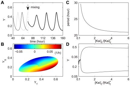 https://cdn.ncbi.nlm.nih.gov/pmc/blobs/aff0/2773046/4f2ebbf472f6/pcbi.1000568.g007.jpg