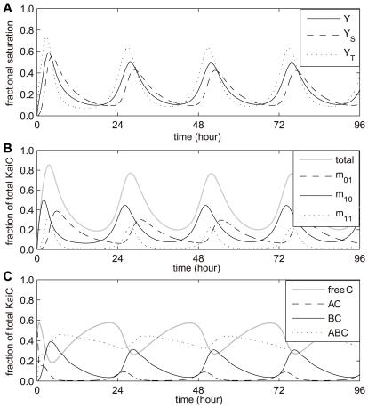 https://cdn.ncbi.nlm.nih.gov/pmc/blobs/aff0/2773046/8cdd22574455/pcbi.1000568.g002.jpg