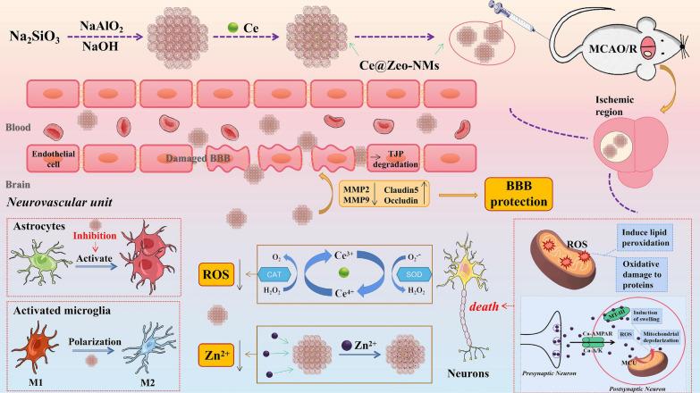 https://cdn.ncbi.nlm.nih.gov/pmc/blobs/aff1/10981335/04d07d471861/12951_2024_2406_Fig13_HTML.jpg