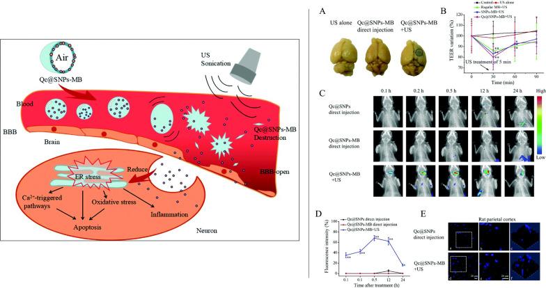 https://cdn.ncbi.nlm.nih.gov/pmc/blobs/aff1/10981335/35bdb14ca8d4/12951_2024_2406_Fig16_HTML.jpg