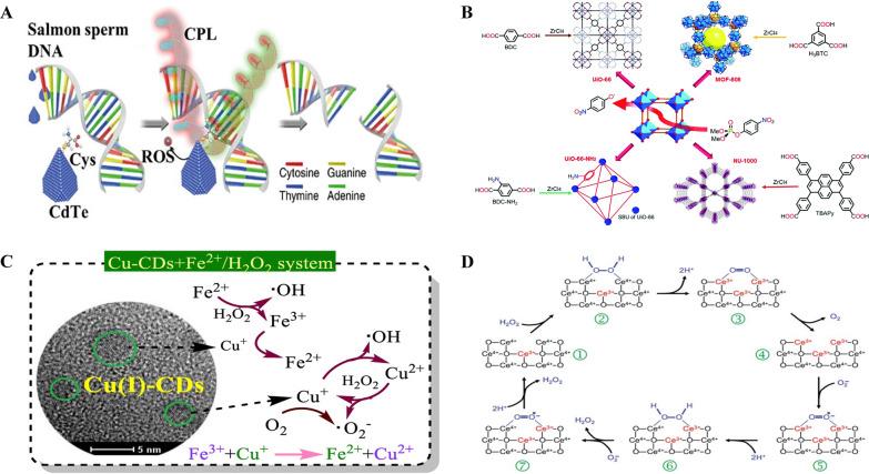 https://cdn.ncbi.nlm.nih.gov/pmc/blobs/aff1/10981335/426a03cd32a2/12951_2024_2406_Fig3_HTML.jpg