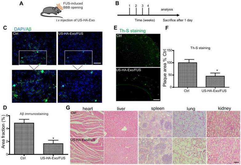 https://cdn.ncbi.nlm.nih.gov/pmc/blobs/aff1/10981335/62d028a43844/12951_2024_2406_Fig7_HTML.jpg