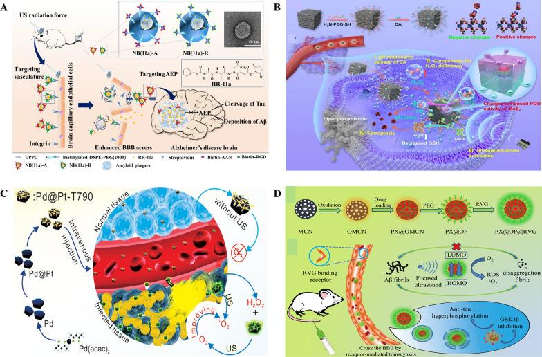 https://cdn.ncbi.nlm.nih.gov/pmc/blobs/aff1/10981335/c1c6bd14e068/12951_2024_2406_Fig5_HTML.jpg