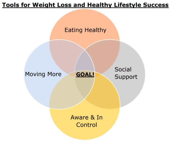 https://cdn.ncbi.nlm.nih.gov/pmc/blobs/aff2/11154527/62388fe04463/nutrients-16-00930-g001.jpg