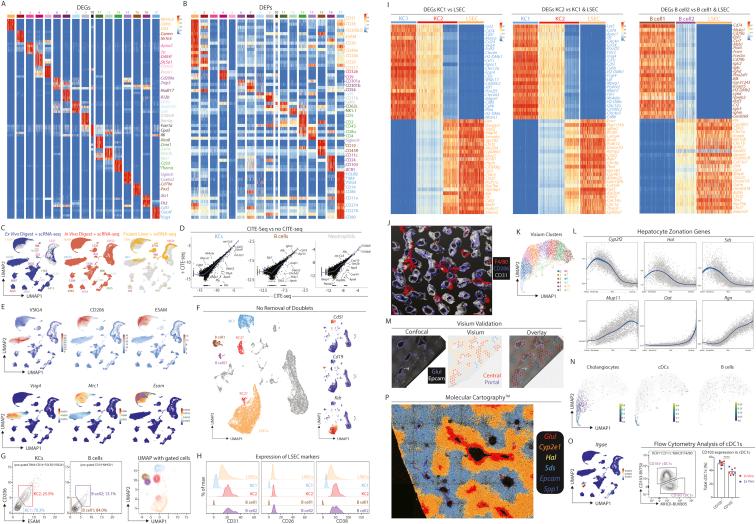 https://cdn.ncbi.nlm.nih.gov/pmc/blobs/aff2/8809252/4a5251571653/figs2.jpg